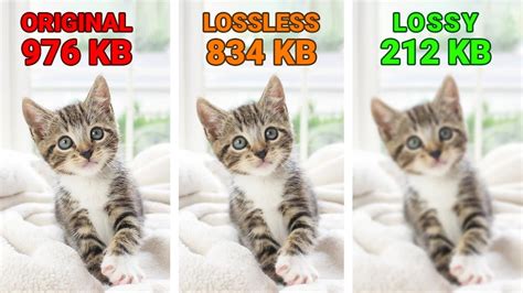 lossy compression linux test|Compressed numerical arrays that support high .